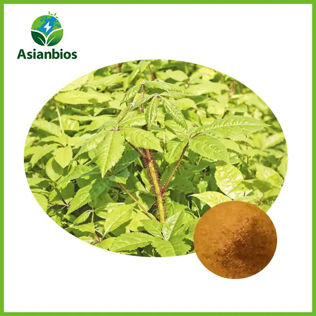 Siberian Ginseng Extract Powder